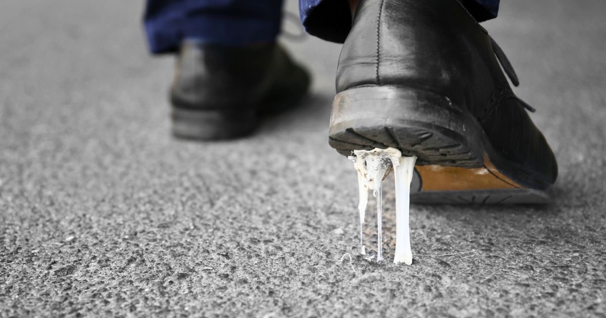 How to Remove Gum From Carpet