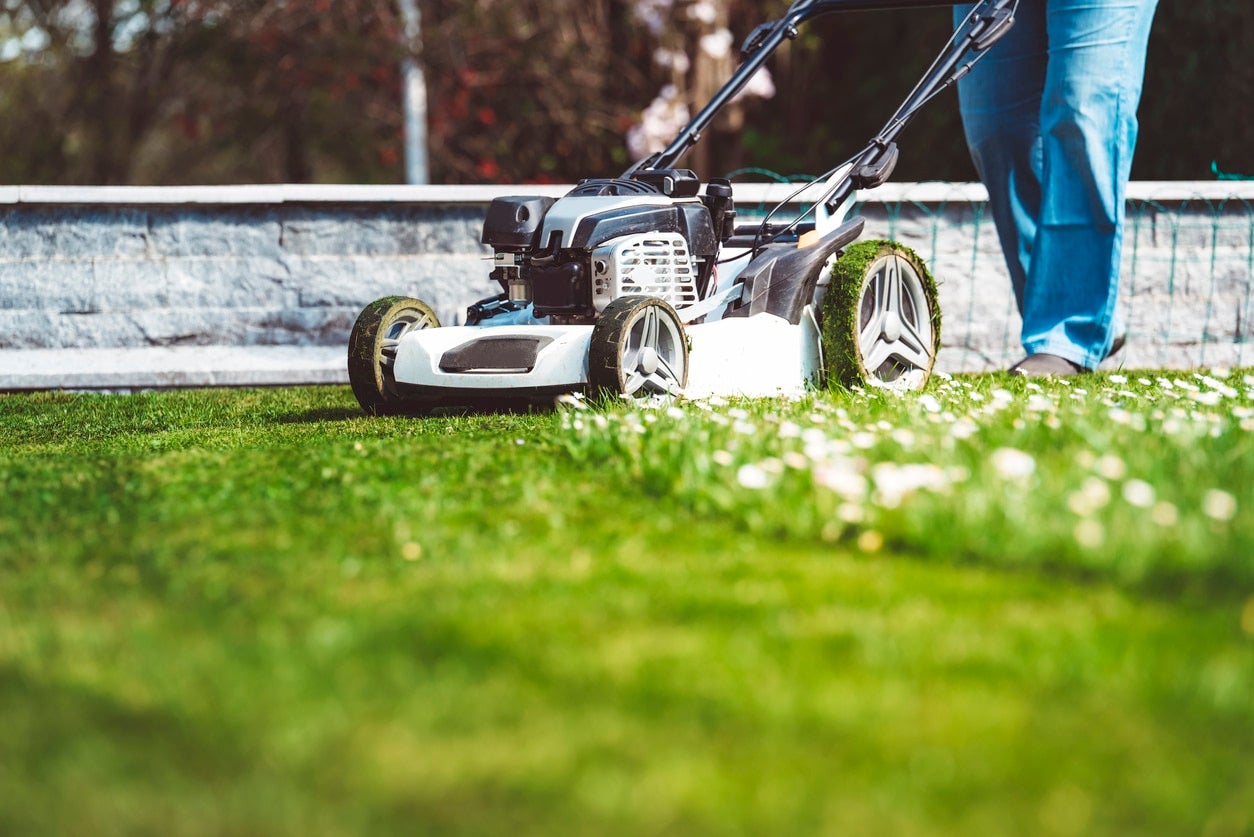 Lawn Care Lehi Ut