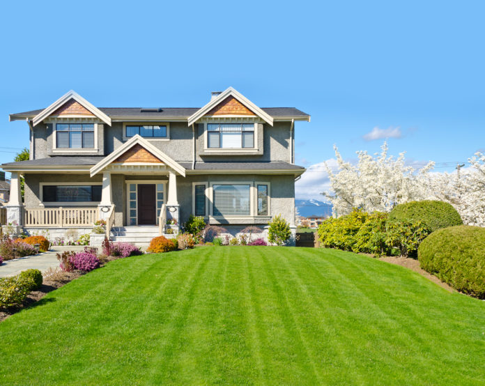 Top Notch Lawn Care Reviews, Cost, Pros & Cons (2024) Today's Homeowner