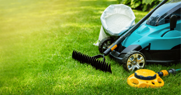 4 Best DIY Lawn Care Programs and Services (2025) | Today's Homeowner