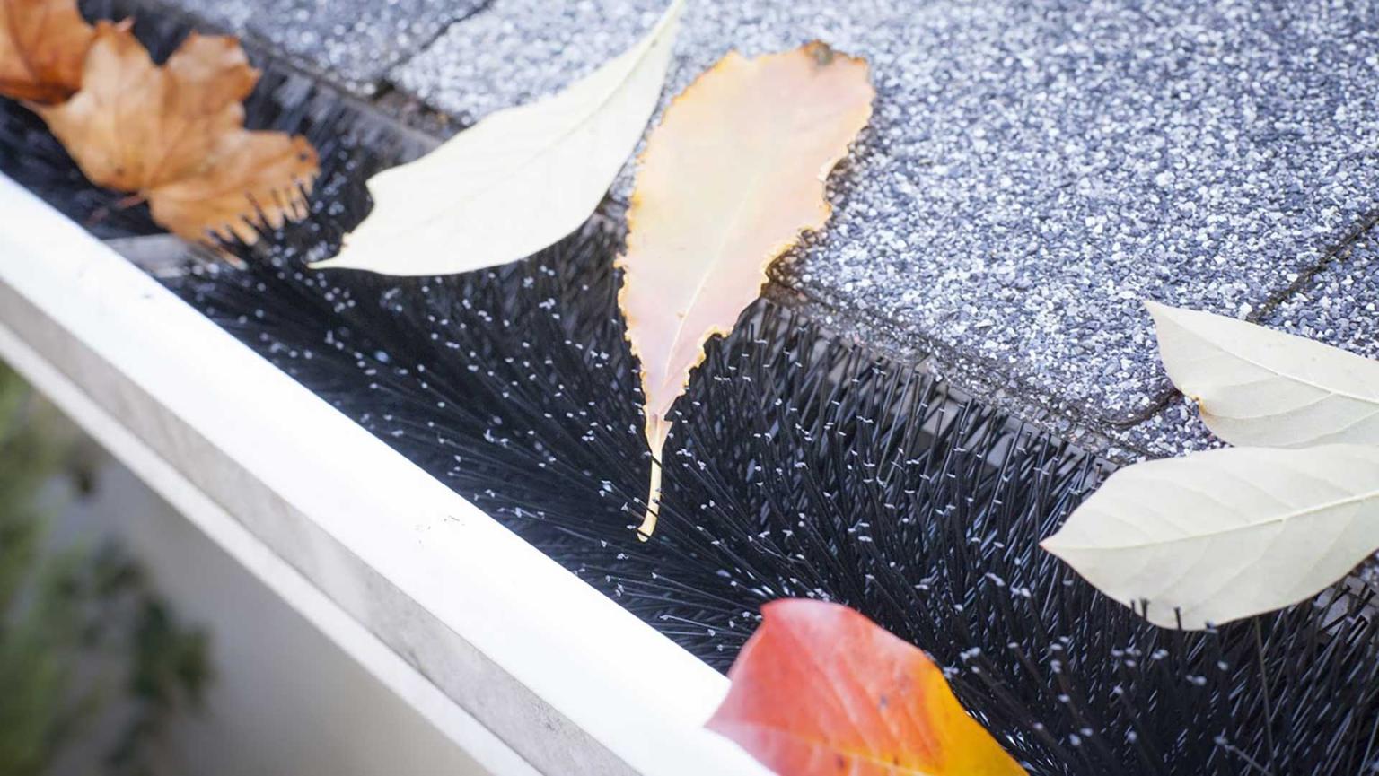 The Best 5 Lowes Gutter Guards (2024) Today's Homeowner