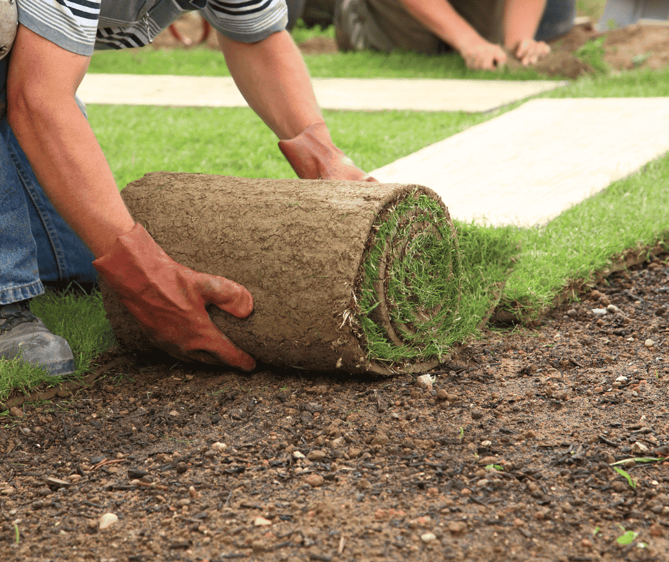 How To Fix a Patchy Lawn (2024) Today's Homeowner