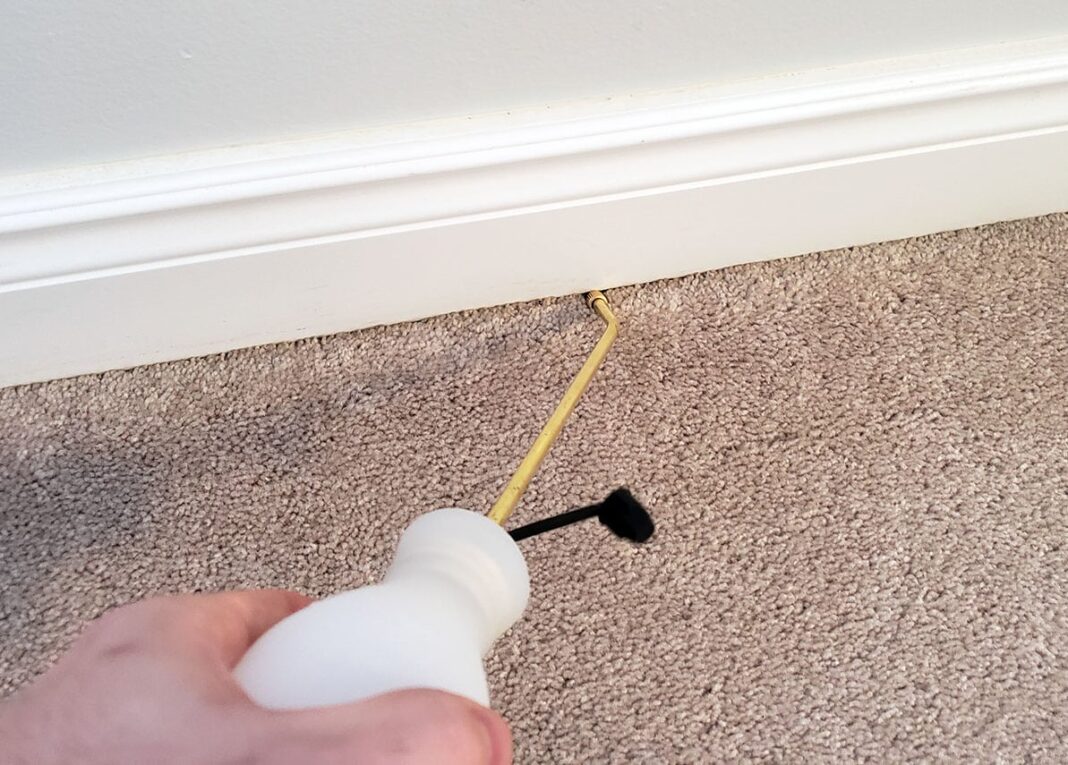 How to Get Rid of Bed Bugs (6 Steps) Today's Homeowner (2024)