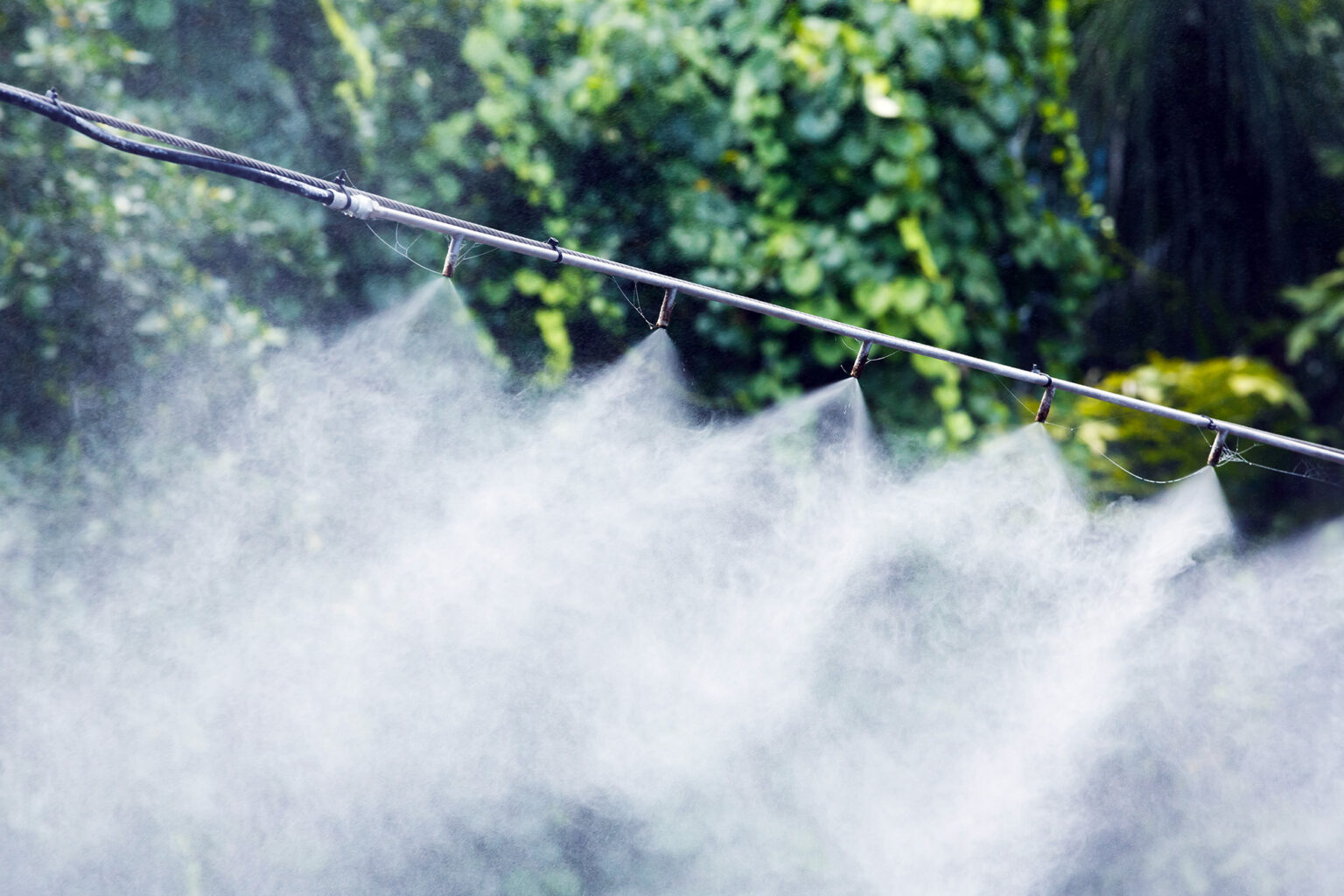 Best Mosquito Misting Systems [DIY Guide] (2024) Today's Homeowner