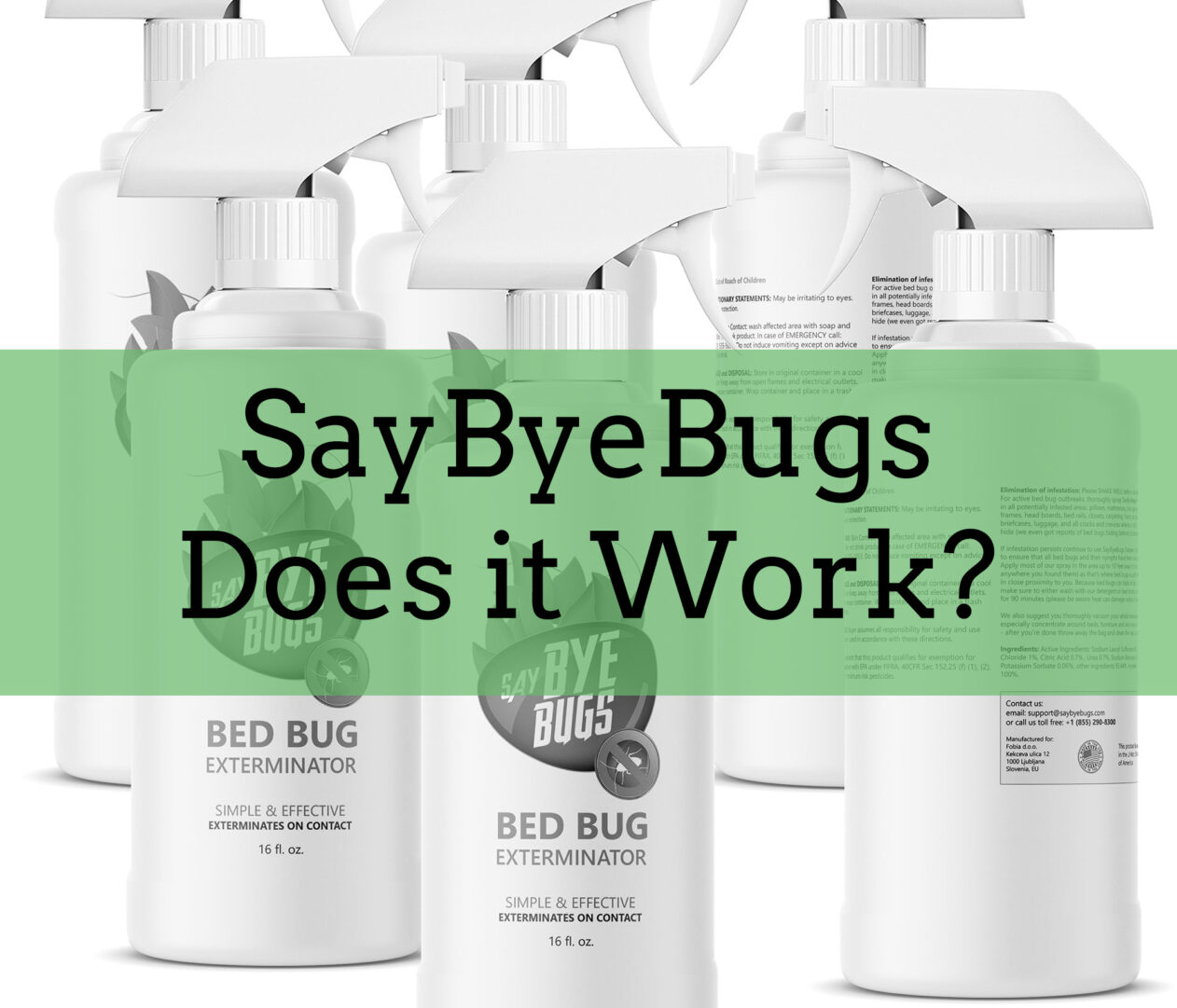 SayByeBugs Review (2024) Today's Homeowner