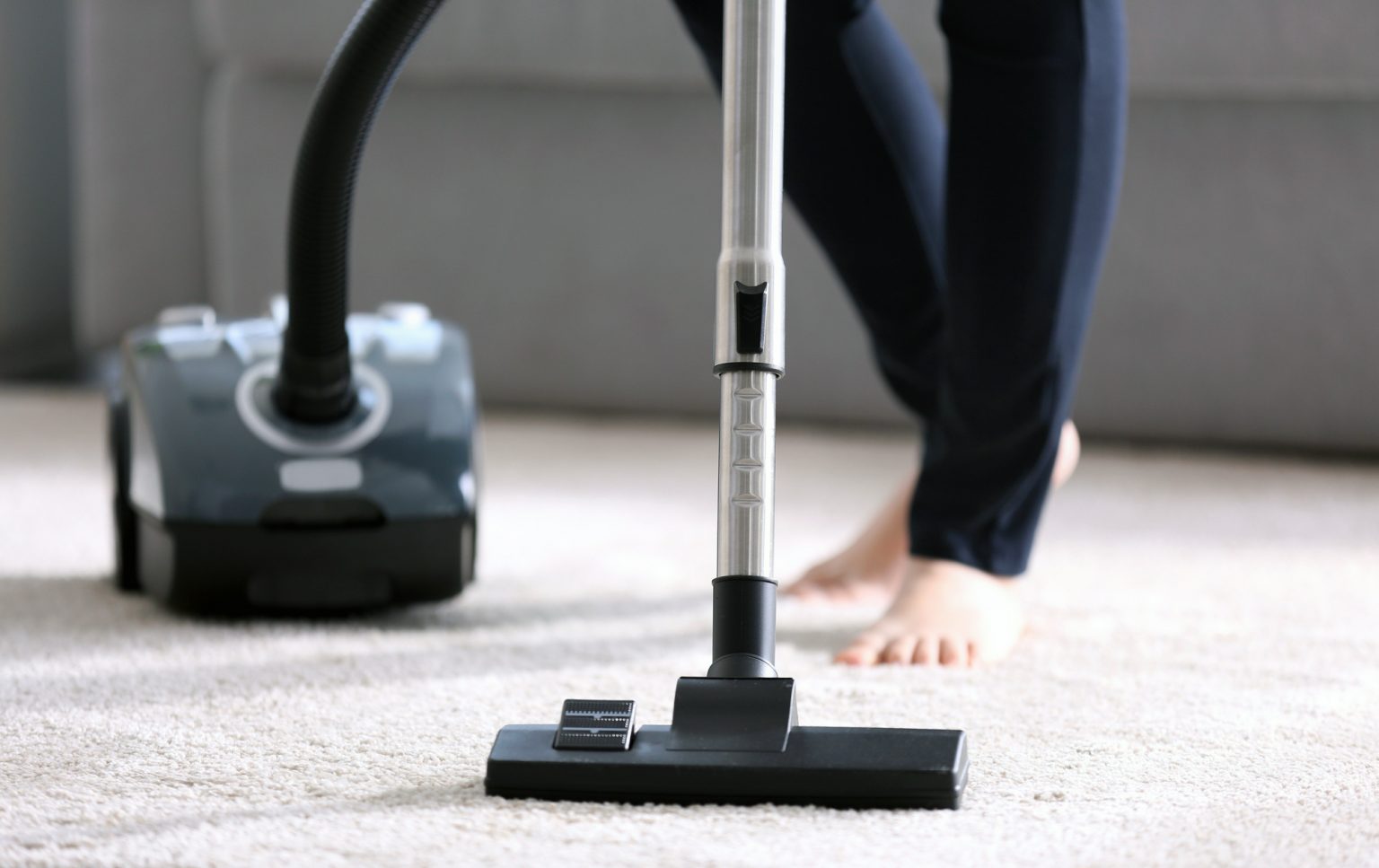 How to Get Rid of Ants in Carpet [DIY Guide] (2024) Today's Homeowner