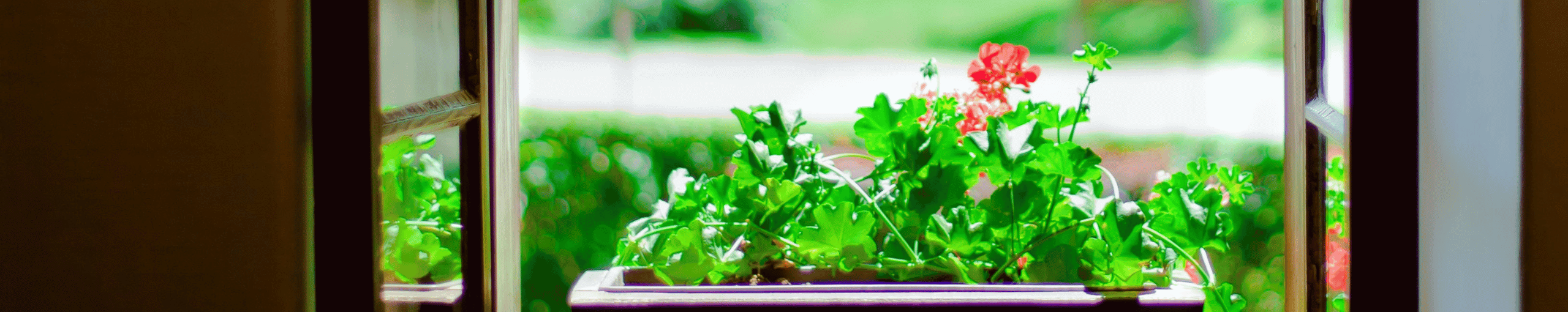 How Much Do Garden Windows Cost (2024) Today's Homeowner