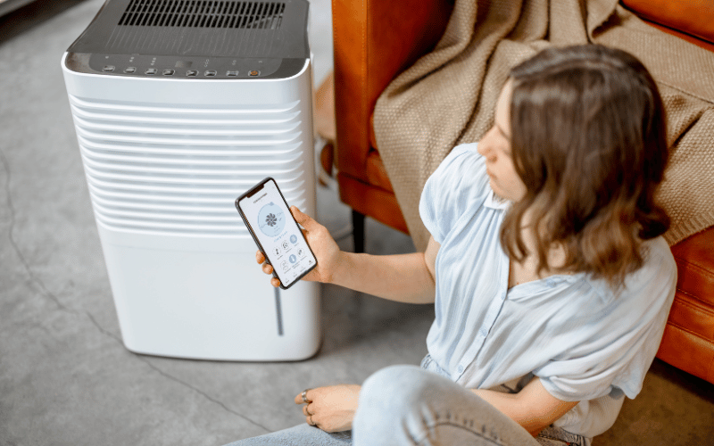 bestwholehouseairpurifier