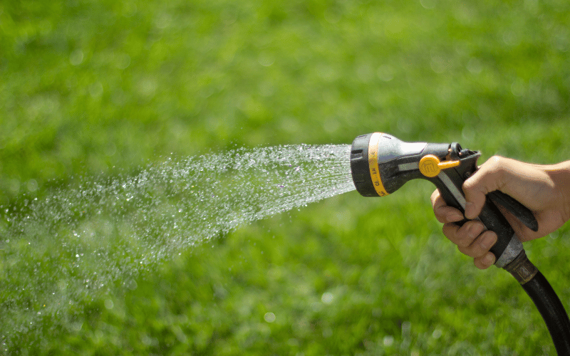 water green yard with handheld hose